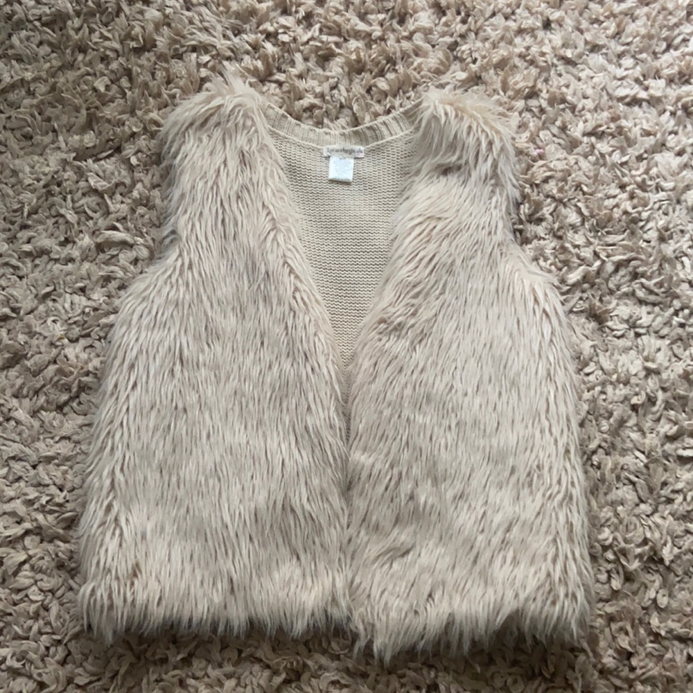 Fur Vest